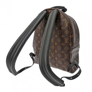 Louis Vuitton Palm Springs Daypack Canvas Brown Monogram Backpack